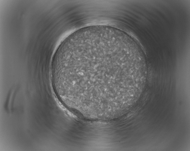 X0000076061088200610201942