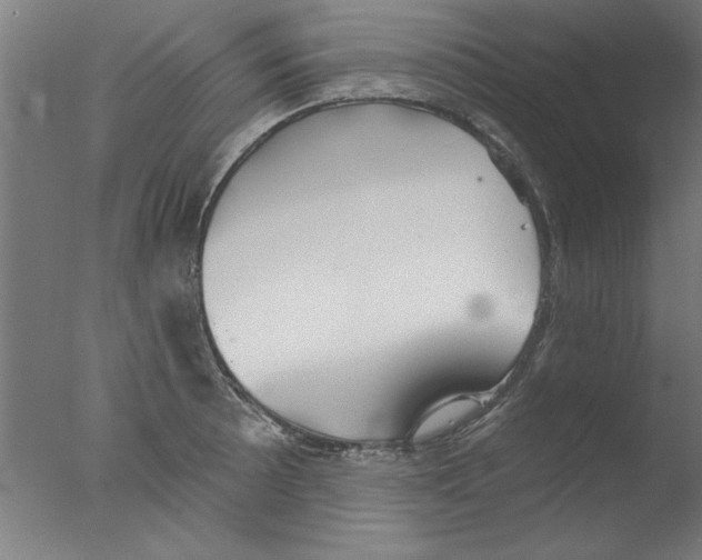 X0000076061089200610201942