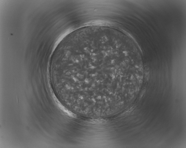 X0000076061091200610201942