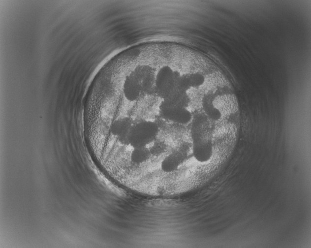 X0000076061092200610201942