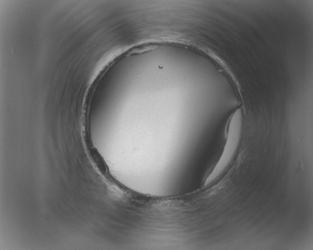 X0000076061093200610201942