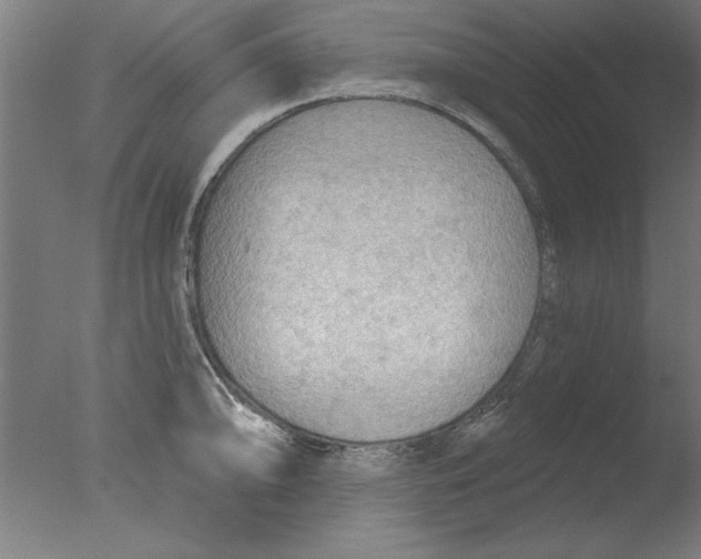 X0000076061094200610201942