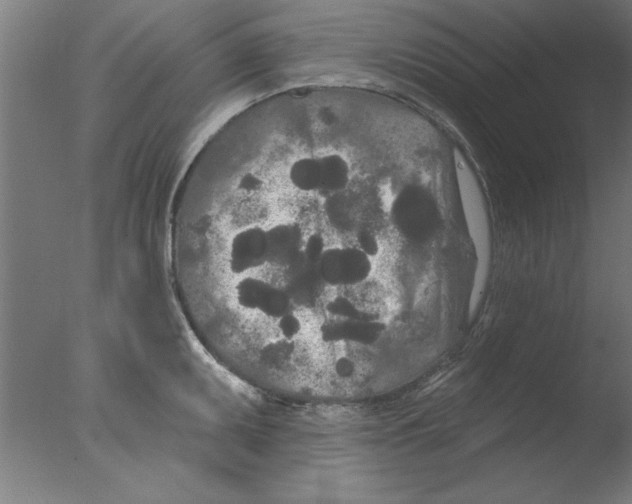 X0000076061095200610201942