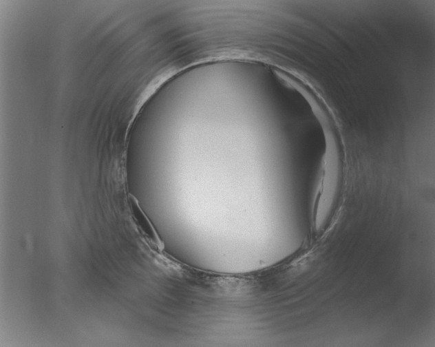 X0000076061097200610201942