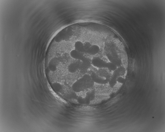 X0000076061100200610201941