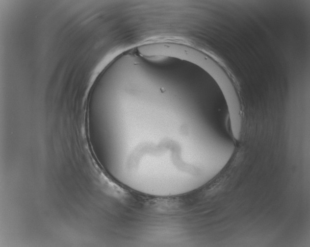 X0000076061102200610201941