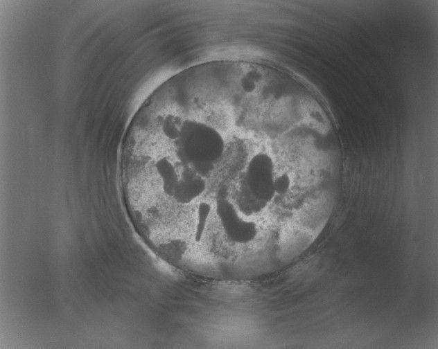 X0000076061103200610201941