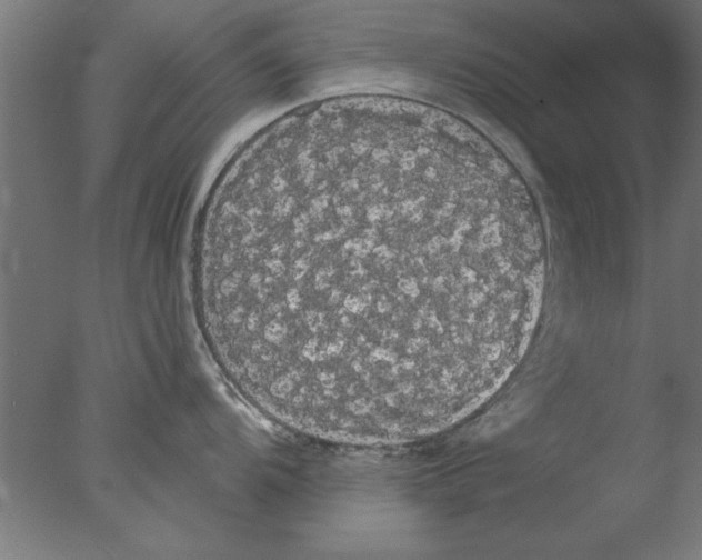 X0000076061104200610201941