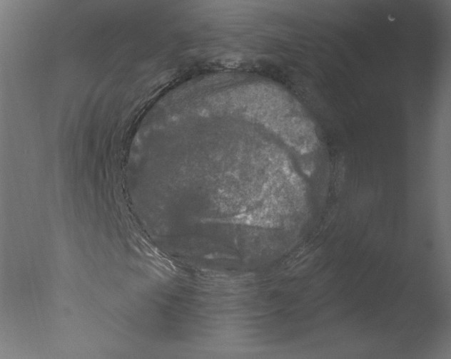 X0000076061105200610201941