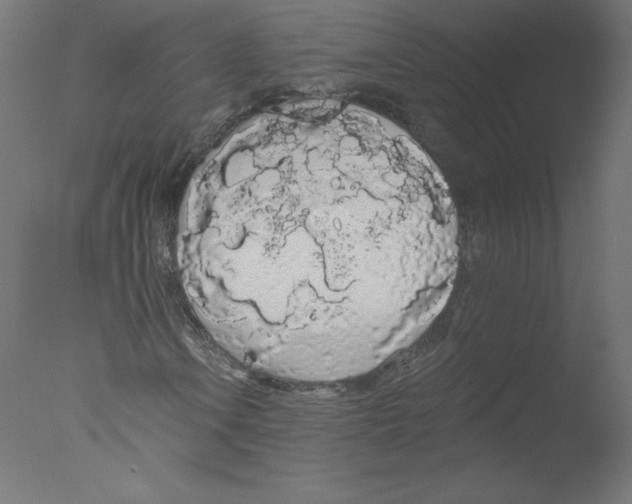 X0000076061106200610201941