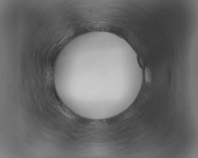 X0000076061107200610201941