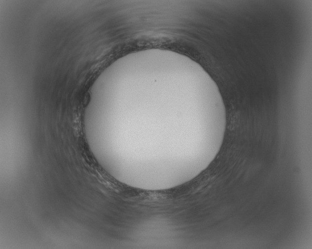 X0000076061109200610201941