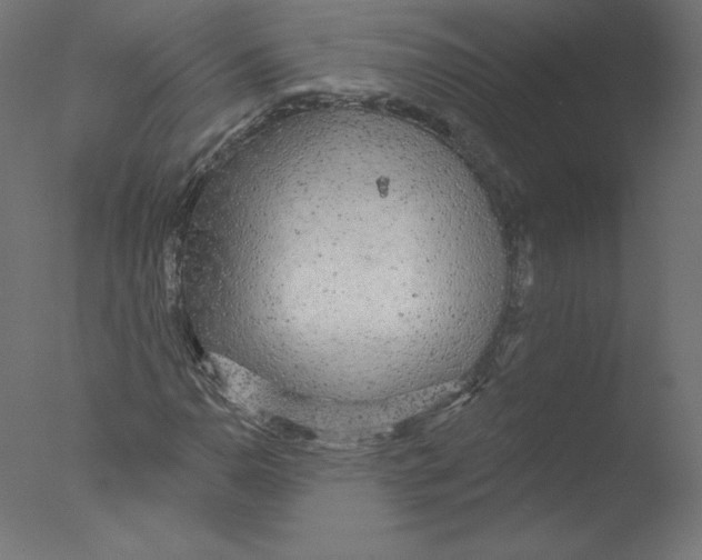 X0000076061110200610201941