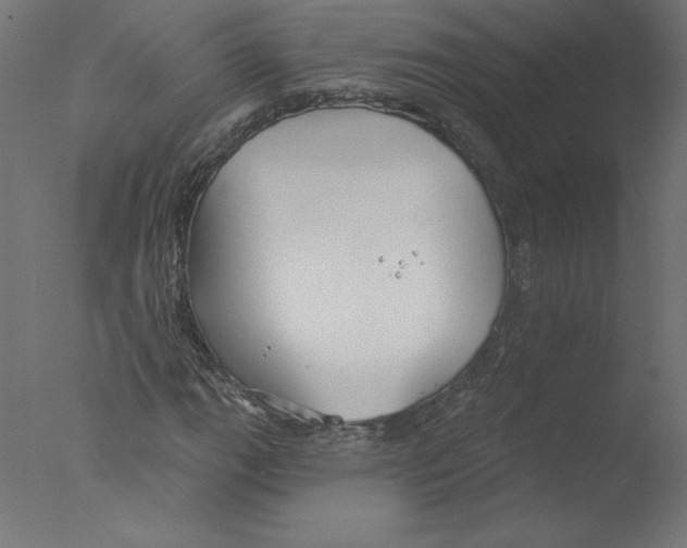 X0000076061111200610201941