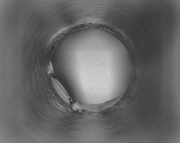 X0000076061112200610201941