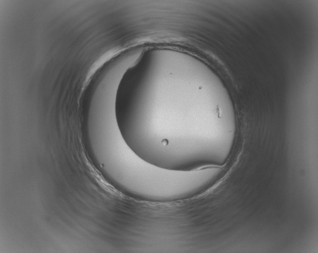 X0000076061114200610201941