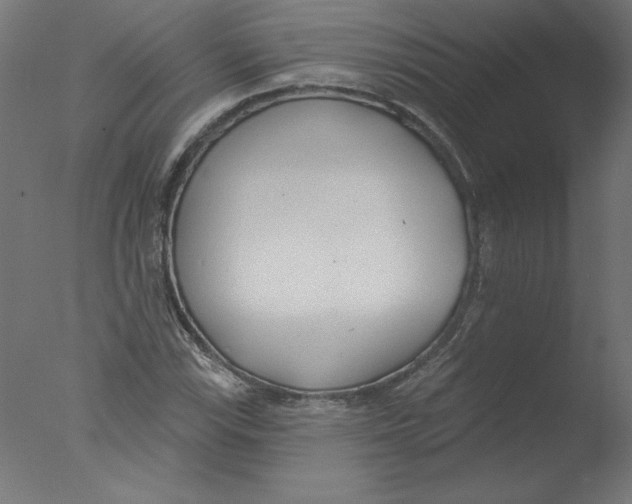 X0000076061115200610201941