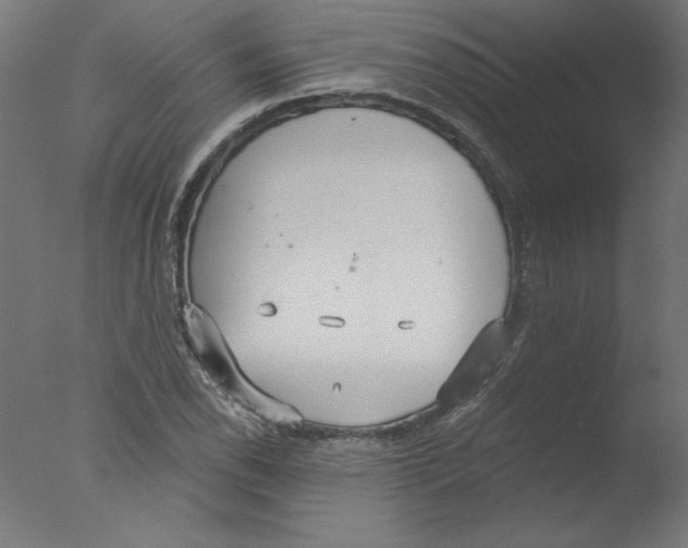 X0000076061118200610201941