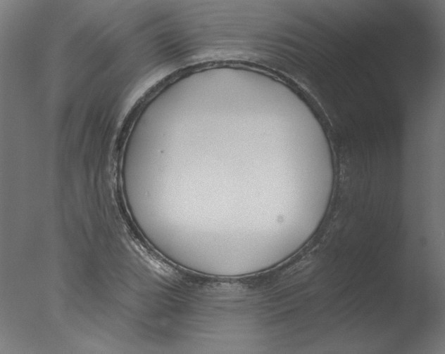 X0000076061119200610201941