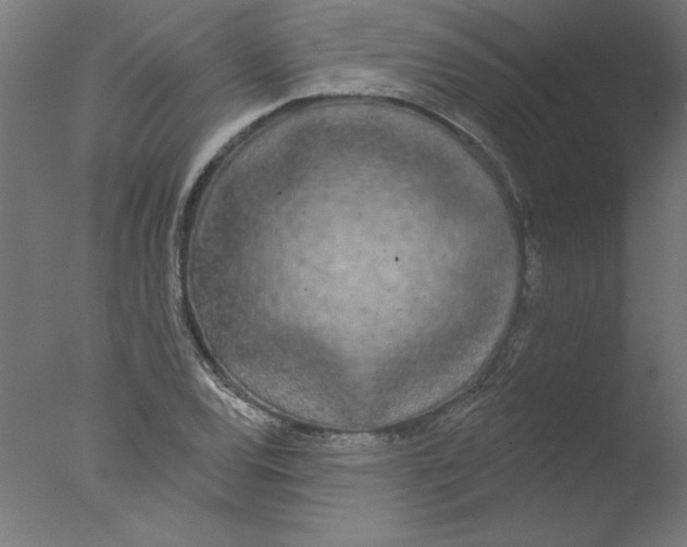 X0000076061120200610201941