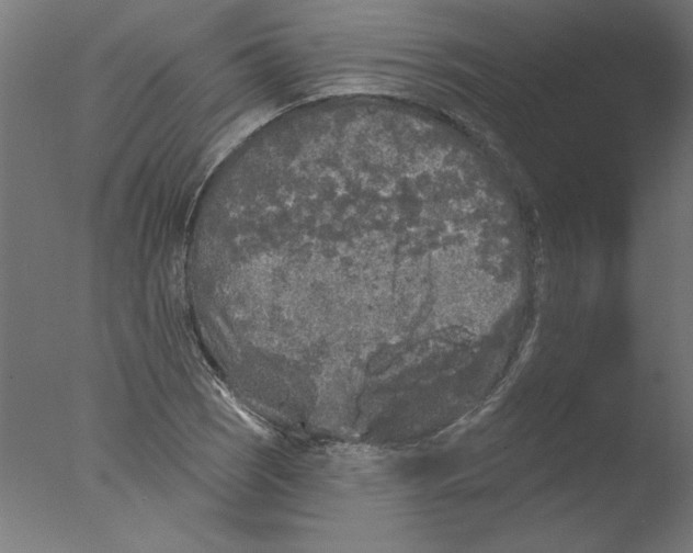 X0000076061121200610201941