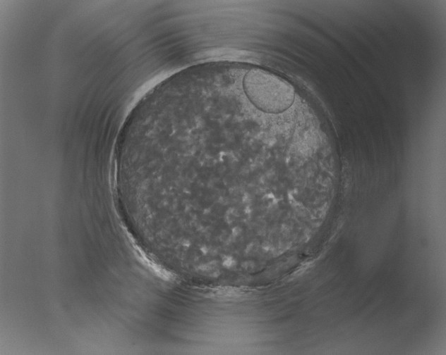 X0000076061125200610201941