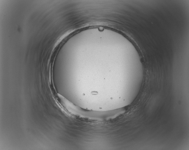 X0000076061127200610201941