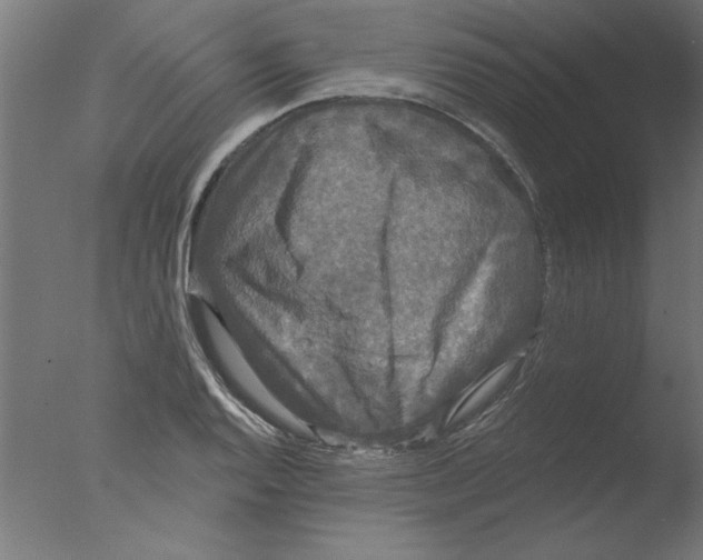 X0000076061128200610201941