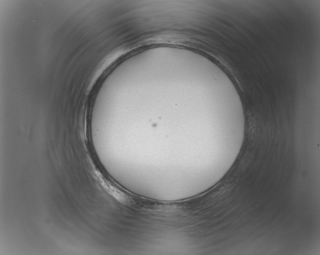 X0000076061131200610201941