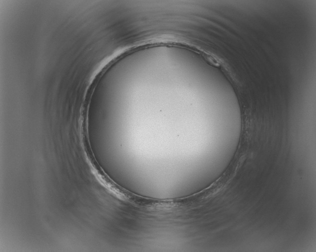 X0000076061134200610201941