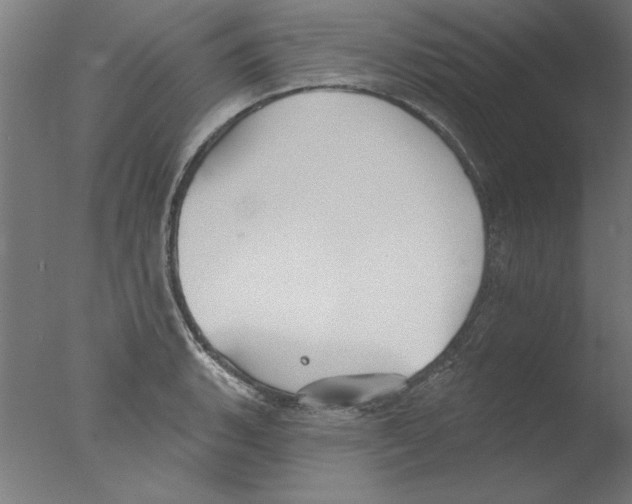 X0000076061135200610201941