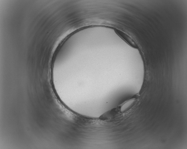 X0000076061136200610201941