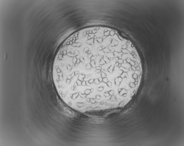 X0000076061137200610201941