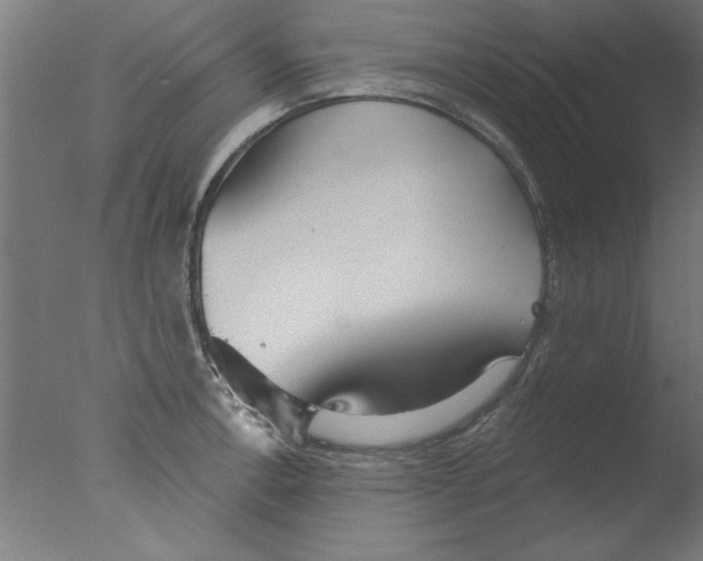 X0000076061138200610201941