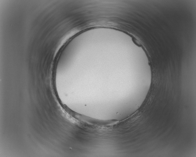 X0000076061139200610201941