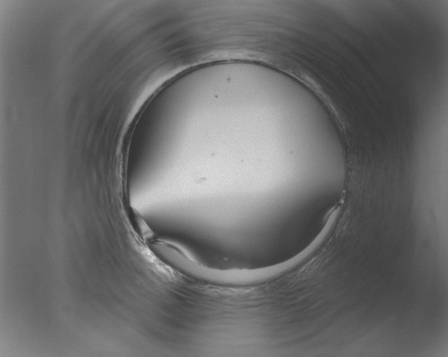 X0000076061140200610201941