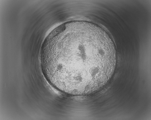 X0000076061141200610201941