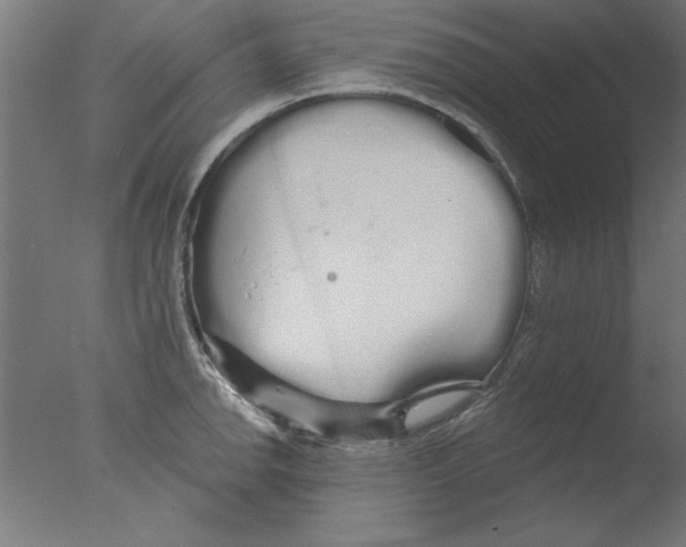 X0000076061142200610201941