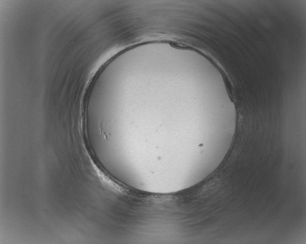 X0000076061143200610201941