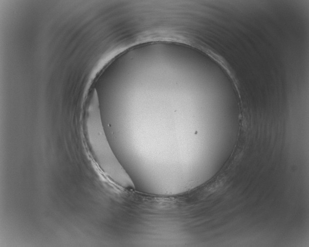 X0000076061144200610201941