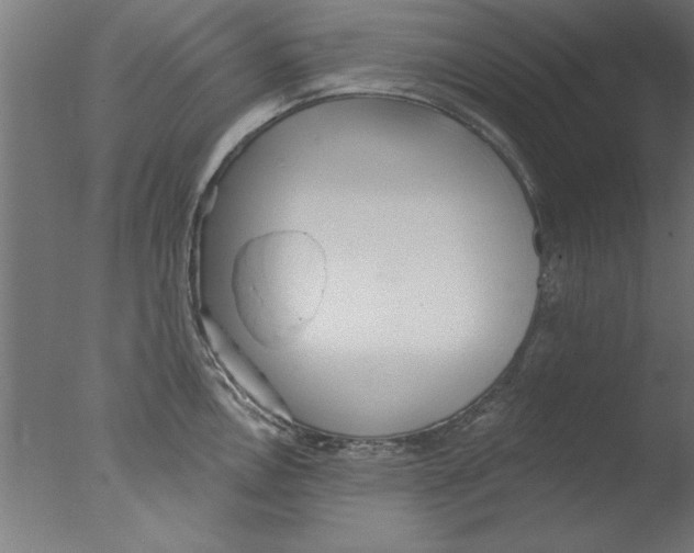 X0000076061146200610201941