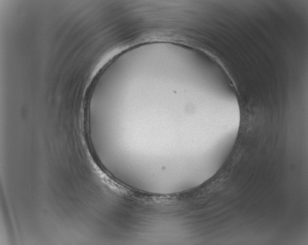 X0000076061147200610201941