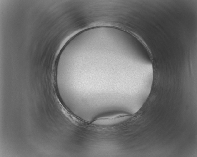 X0000076061148200610201941