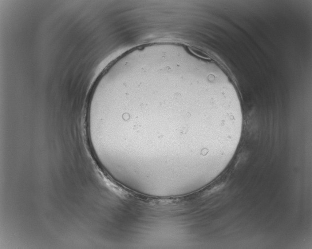 X0000076061149200610201941