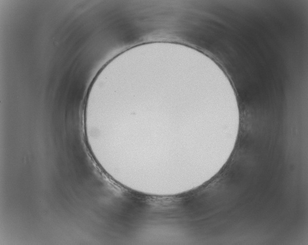 X0000076061150200610201941