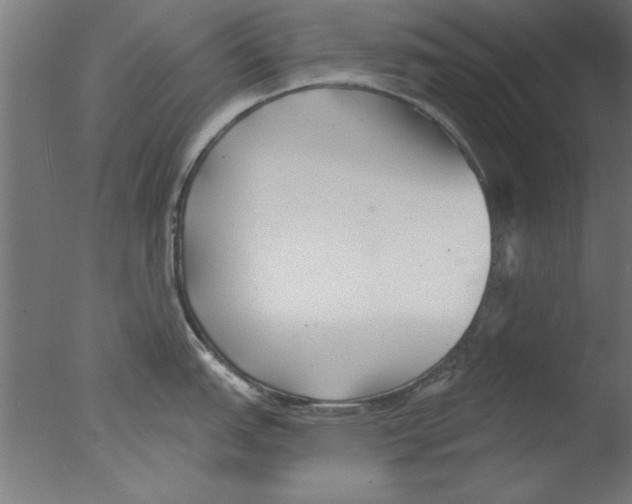 X0000076061151200610201941