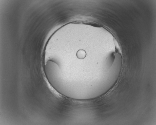 X0000076061152200610201941