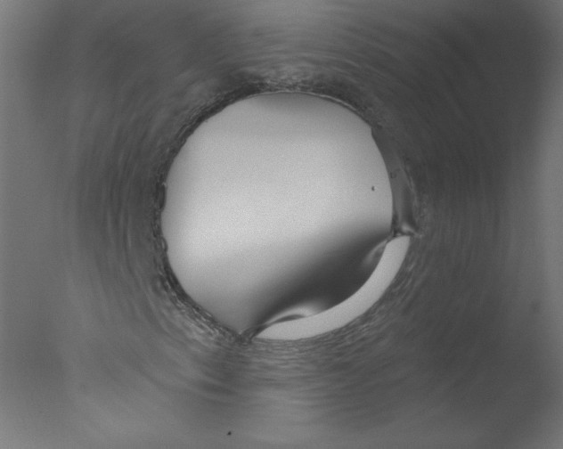 X0000076061153200610201941