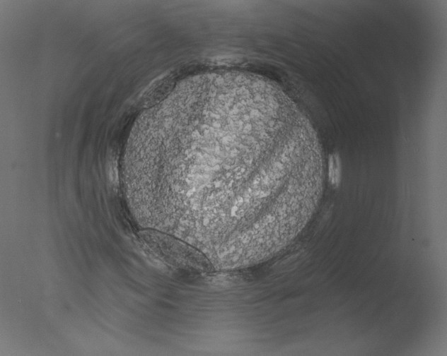 X0000076061155200610201941