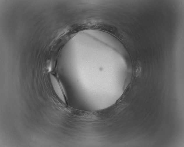 X0000076061156200610201941